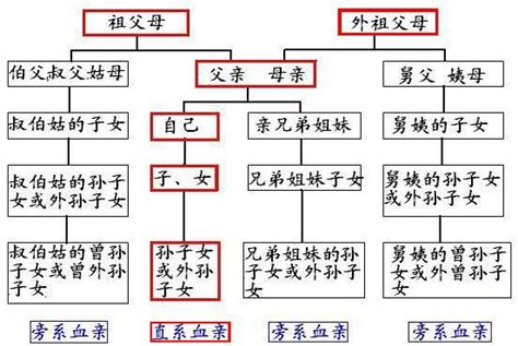 外孫算直系嗎